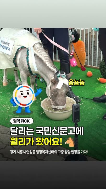 🐴 달리는 국민신문고에 귀여운 손님이 찾아왔어요!

경기 시흥시 연성동을 찾은
국민권익위 ‘달리는 국민신문고’​에
초소형마 ‘월리’​가 함께했습니다! 💙

민원인들이 긴장을 덜고
조금 더 편안하게 고충을 이야기할 수 있도록
말매개 교감 프로그램을 마련했는데요.

귀여운 월리와 함께한
따뜻한 고충 상담 현장! 🐴✨

앞으로도 국민 곁으로 직접 찾아가는
달리는 국민신문고에 많은 관심 부탁드려요! 😊

#국민권익위원회 #달리는국민신문고 #월리 #말매개교감